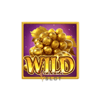 Wild-Midas Fortune