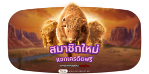 สมาชิกใหม่ แจกเครดิตฟรี