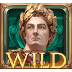 สัญลักษณ์ WILD